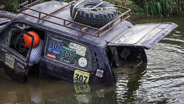 的决定性因 的决定性因