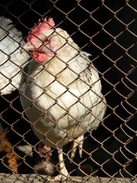 无疑是一种 无疑是一种