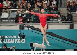 季后赛期间 季后赛期间