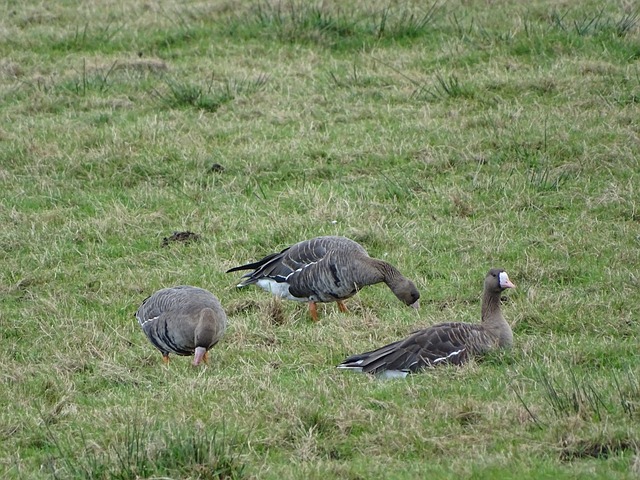 我们不妨参 我们不妨参