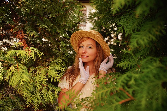 发展模式 发展模式