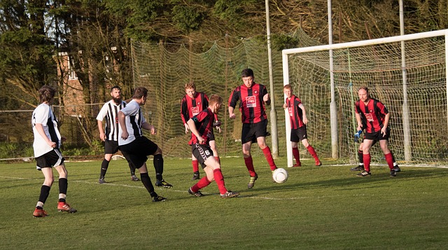 为球迷带来 为球迷带来